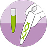 Izolácia a analýza DNA Izolácia a analýza DNA